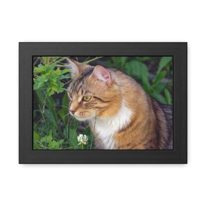 Framed Cat Posters, Framed Cat figure